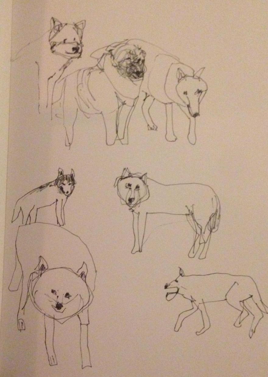 28877340_10155100302762032_773894064_o